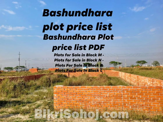 Bashundhara plot price list